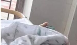 WhatsApp Image 2024-11-15 at 3.20.04 PM