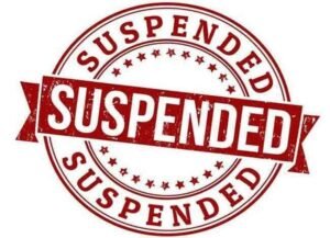 WhatsApp Image 2024-11-15 at 4.02.26 PM