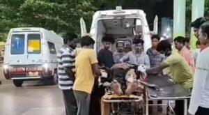 WhatsApp Image 2024-11-15 at 4.23.46 PM (1)