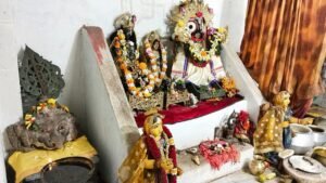 WhatsApp Image 2024-11-17 at 1.56.24 PM (1)