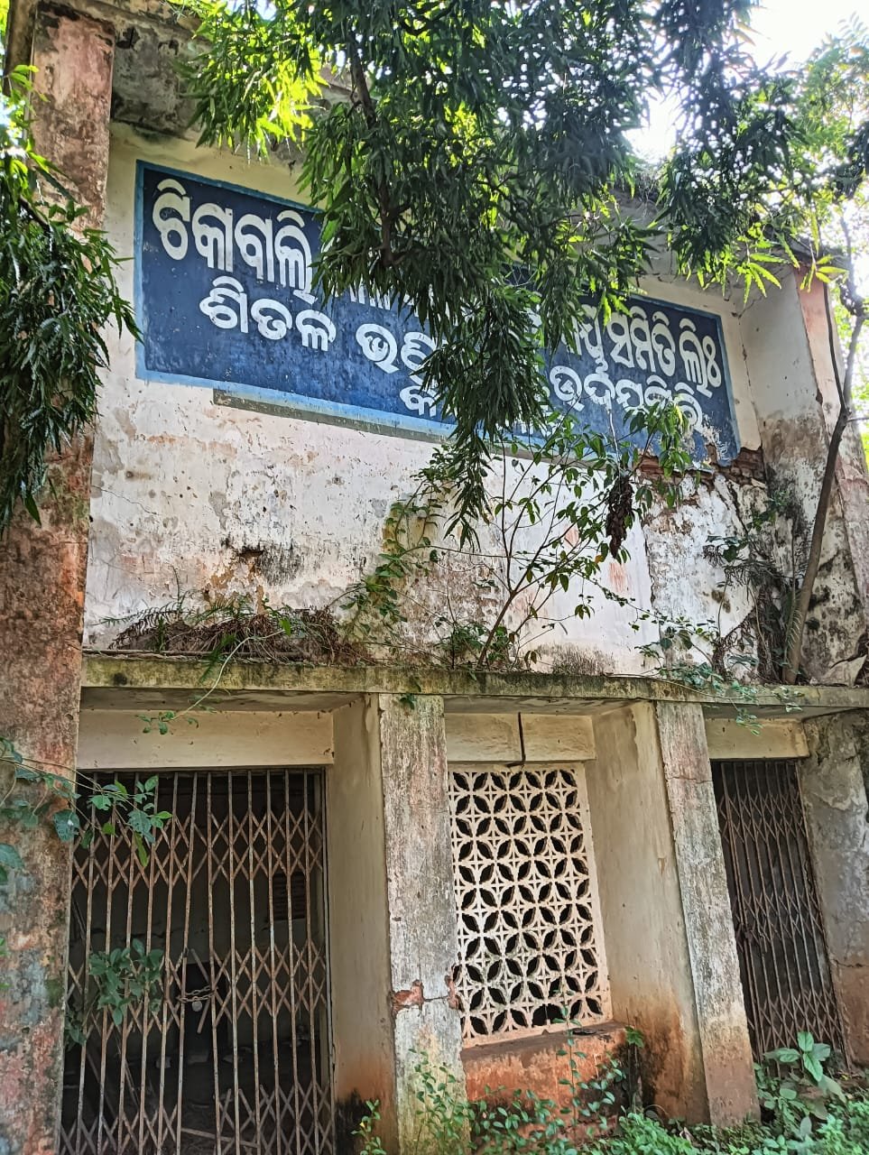 WhatsApp Image 2024-11-22 at 2.31.18 PM