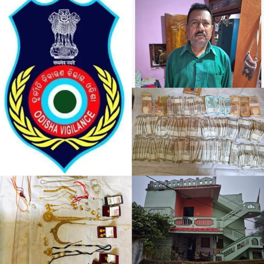 WhatsApp Image 2024-12-28 at 1.56.04 PM