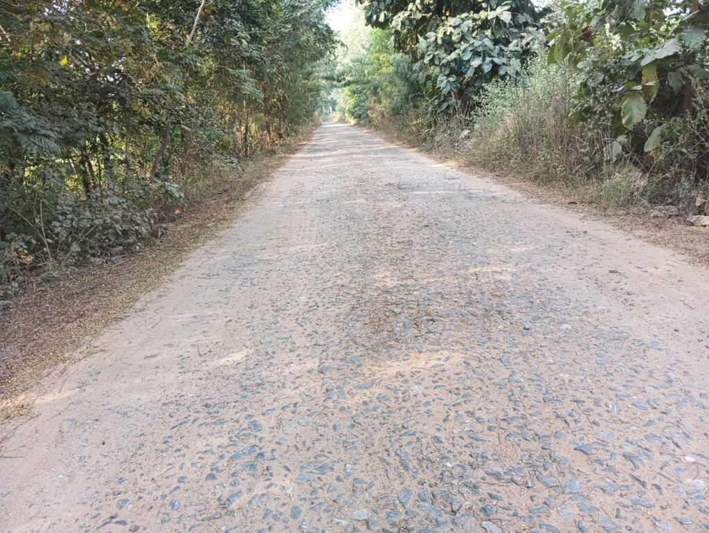 WhatsApp Image 2025-01-14 at 1.27.43 PM