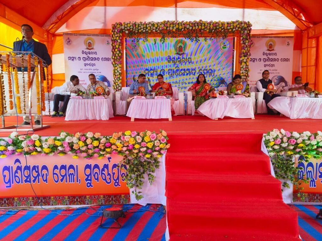 WhatsApp Image 2025-02-07 at 12.11.21 PM (1)