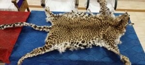 WhatsApp Image 2025-02-12 at 12.28.58 PM