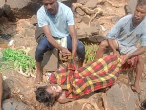 WhatsApp Image 2025-02-12 at 12.42.21 PM