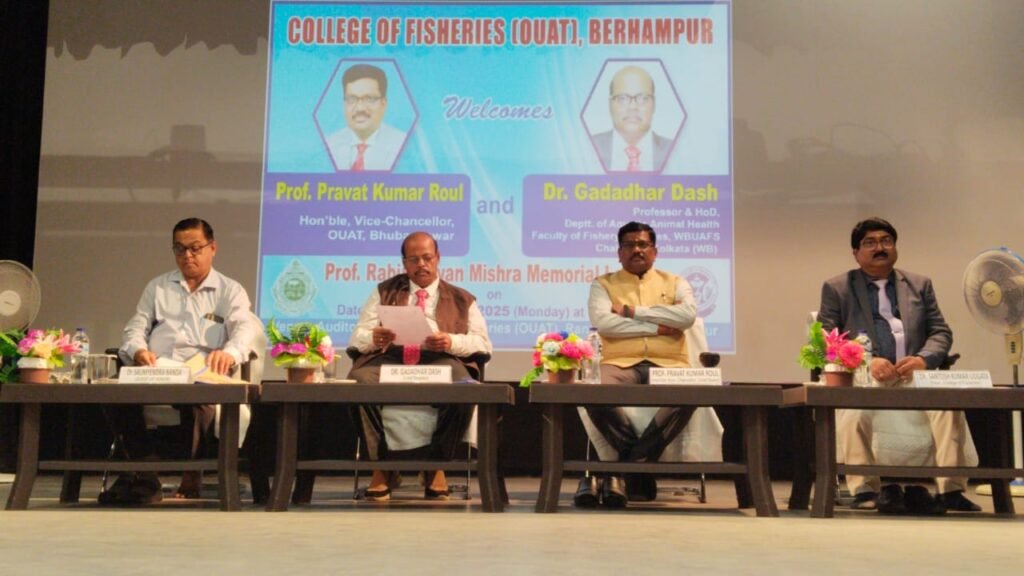 WhatsApp Image 2025-02-12 at 3.08.09 PM (1)