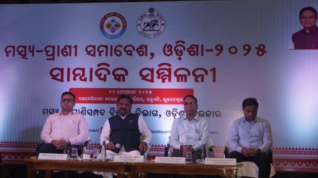 WhatsApp Image 2025-02-13 at 7.11.55 PM