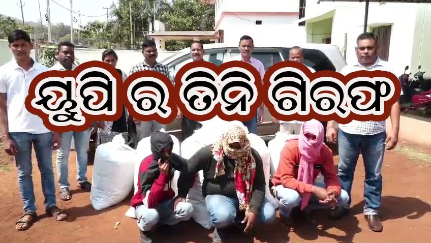 balangir-ganja