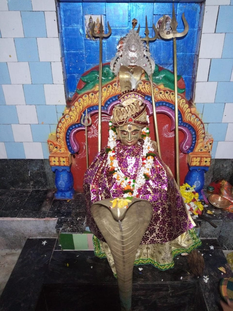 WhatsApp Image 2025-03-11 at 12.00.37 PM