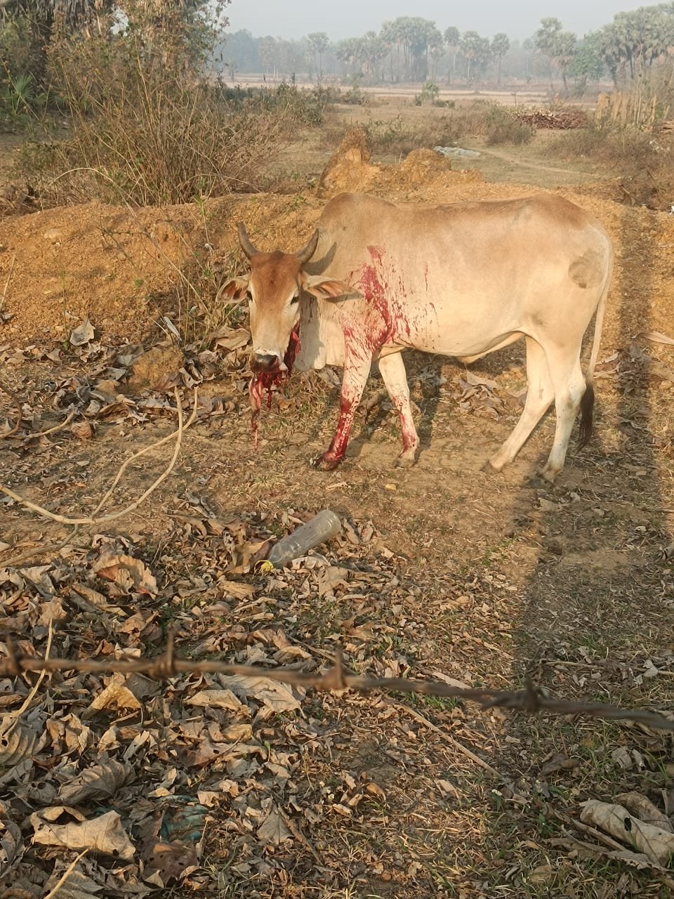 WhatsApp Image 2025-03-14 at 11.14.36 PM