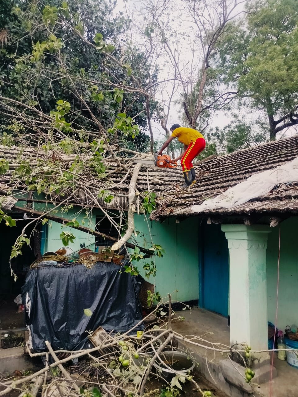 WhatsApp Image 2025-03-22 at 4.48.04 PM