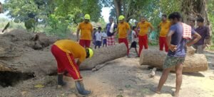 WhatsApp Image 2025-04-17 at 7.29.08 PM