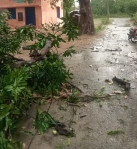 WhatsApp Image 2025-04-20 at 8.22.09 PM