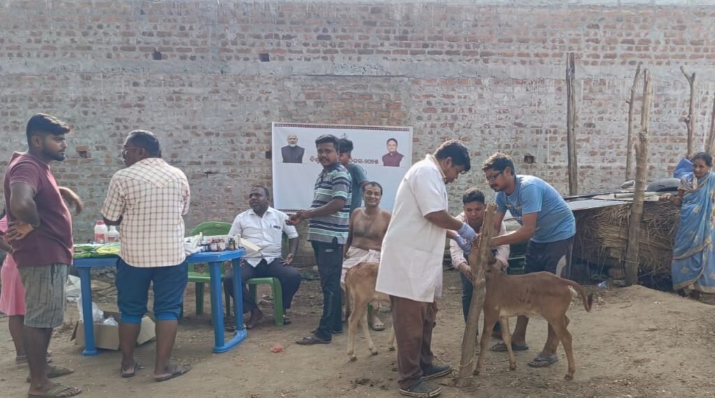 WhatsApp Image 2025-04-25 at 6.47.25 PM (1)