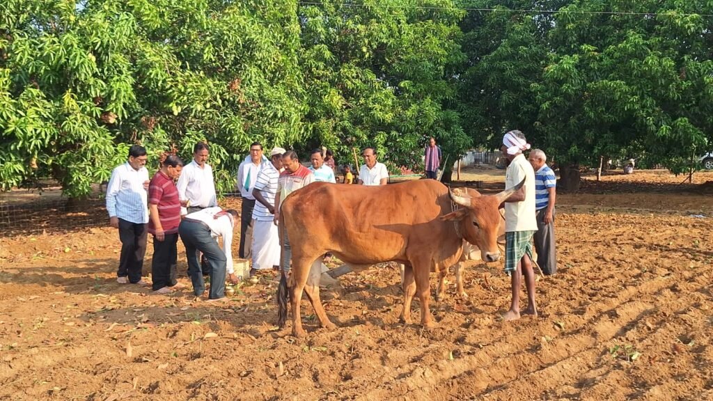 WhatsApp Image 2025-05-01 at 12.19.17 PM