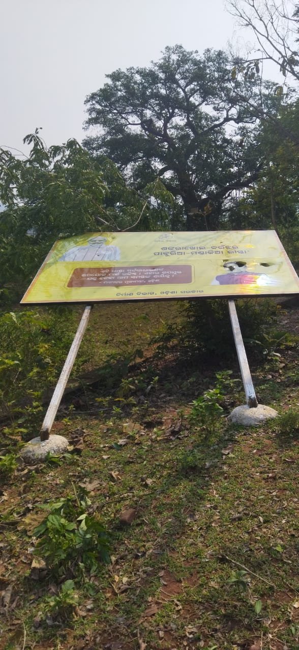 WhatsApp Image 2025-05-21 at 1.51.42 PM