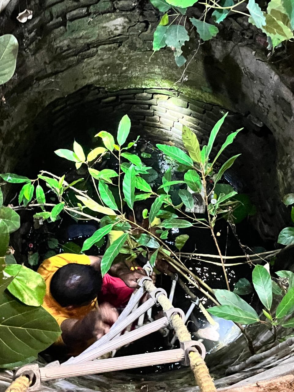 WhatsApp Image 2025-05-21 at 4.20.49 PM