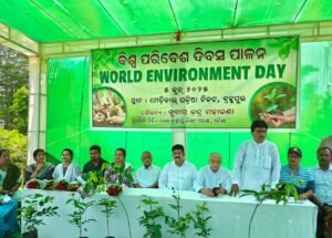 WhatsApp Image 2025-06-05 at 2.21.52 PM