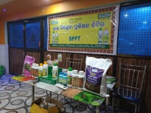 WhatsApp Image 2025-06-06 at 2.57.29 PM