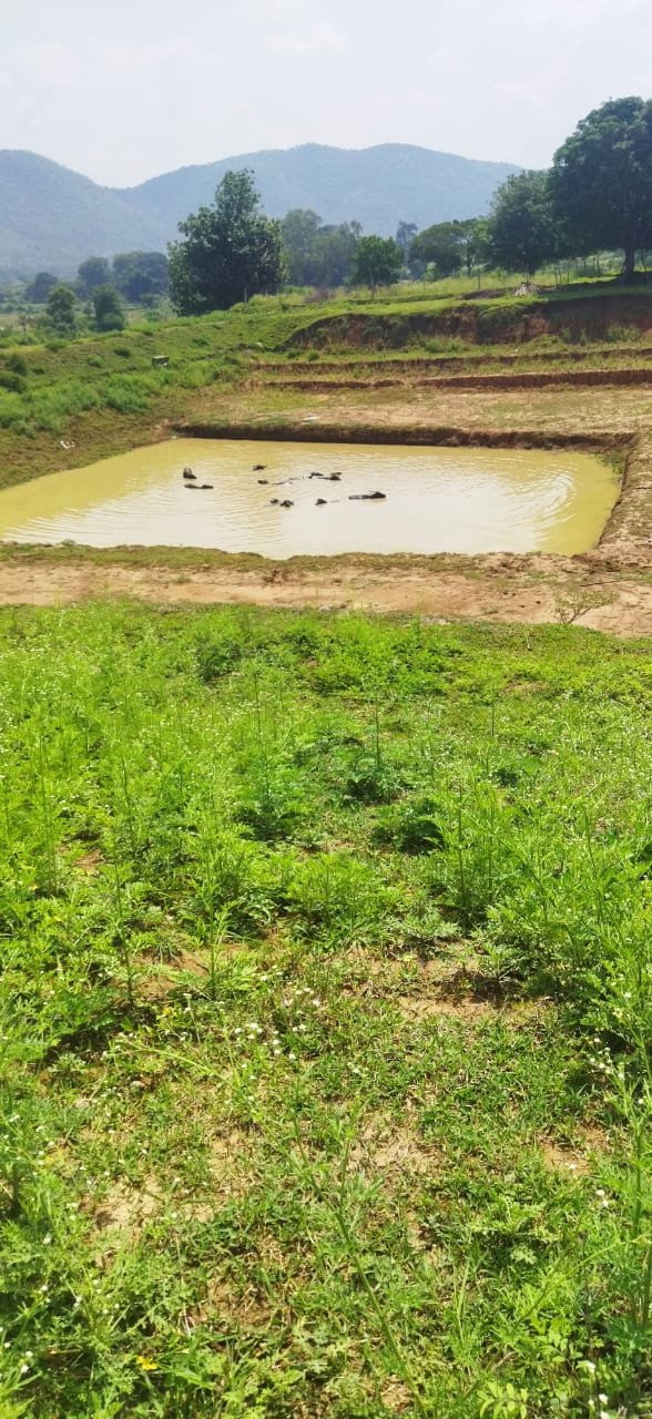 WhatsApp Image 2025-07-04 at 1.42.30 PM