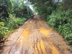 WhatsApp Image 2025-07-17 at 5.39.31 PM