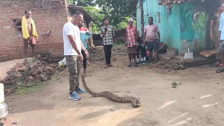 WhatsApp Image 2025-07-19 at 1.01.56 PM