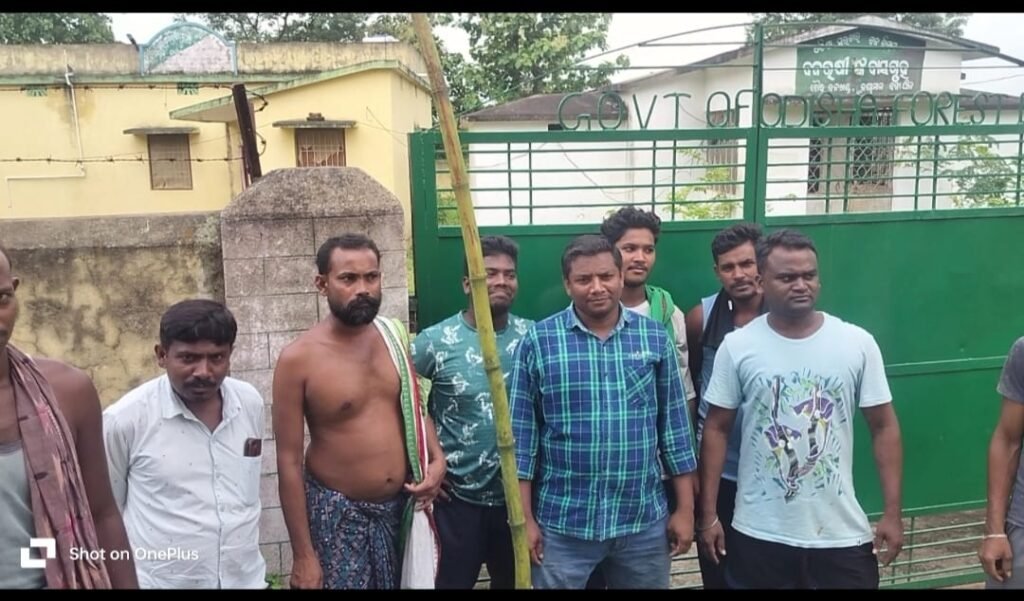 WhatsApp Image 2025-08-15 at 2.34.46 PM