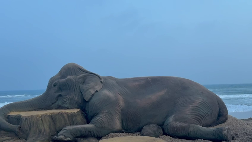 vlcsnap-2025-08-13-20h02m33s218