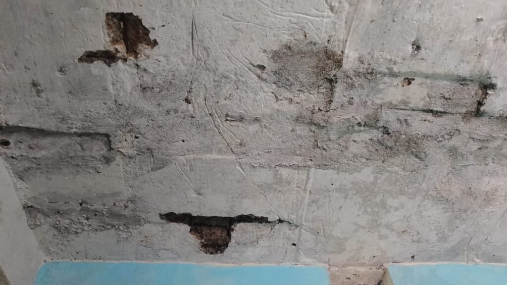 WhatsApp Image 2025-09-13 at 10.50.24 PM