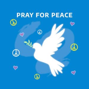 WhatsApp Image 2025-09-20 at 12.37.15 PM