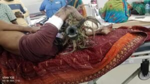 WhatsApp Image 2025-09-21 at 10.40.02 PM