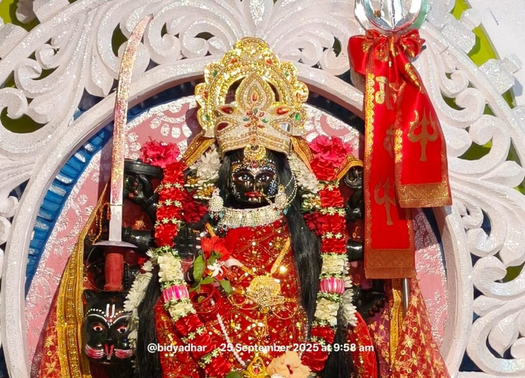 WhatsApp Image 2025-09-25 at 12.40.13 PM