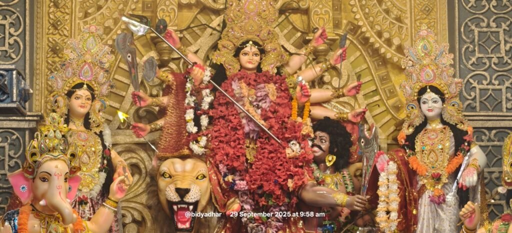 WhatsApp Image 2025-09-29 at 11.06.11 AM (1)