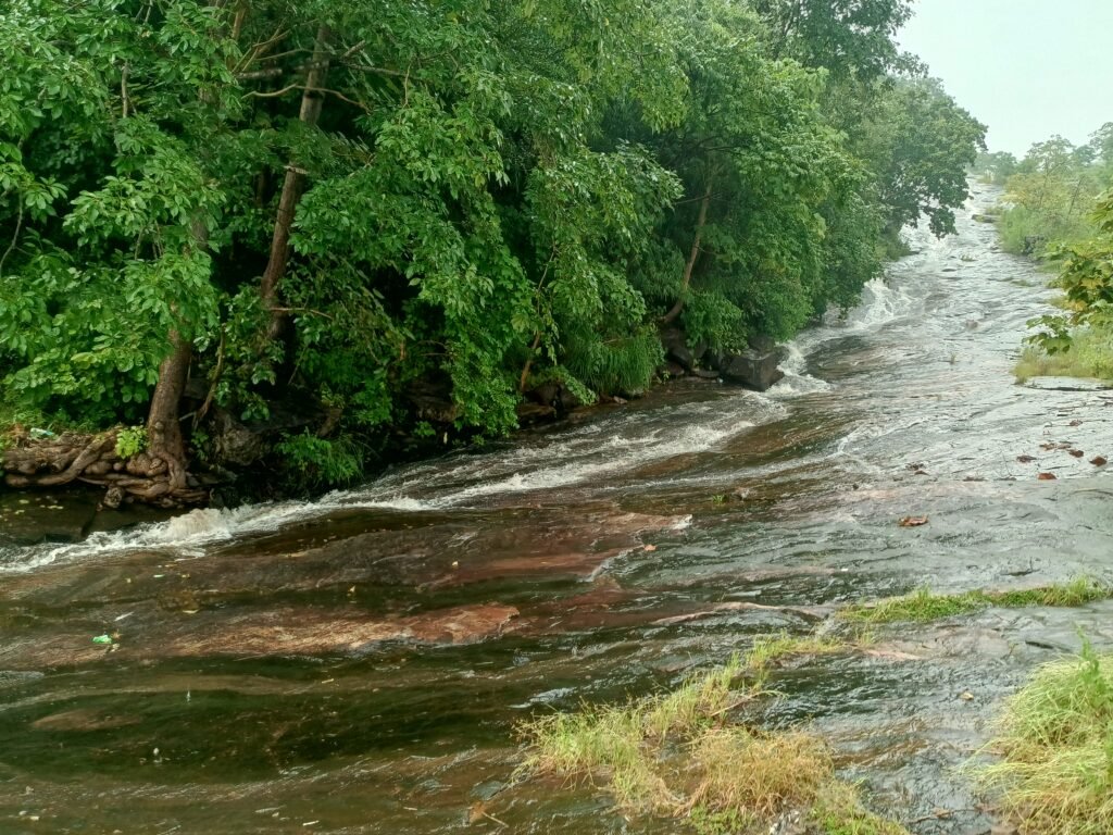 IMG_20250925_155719_750