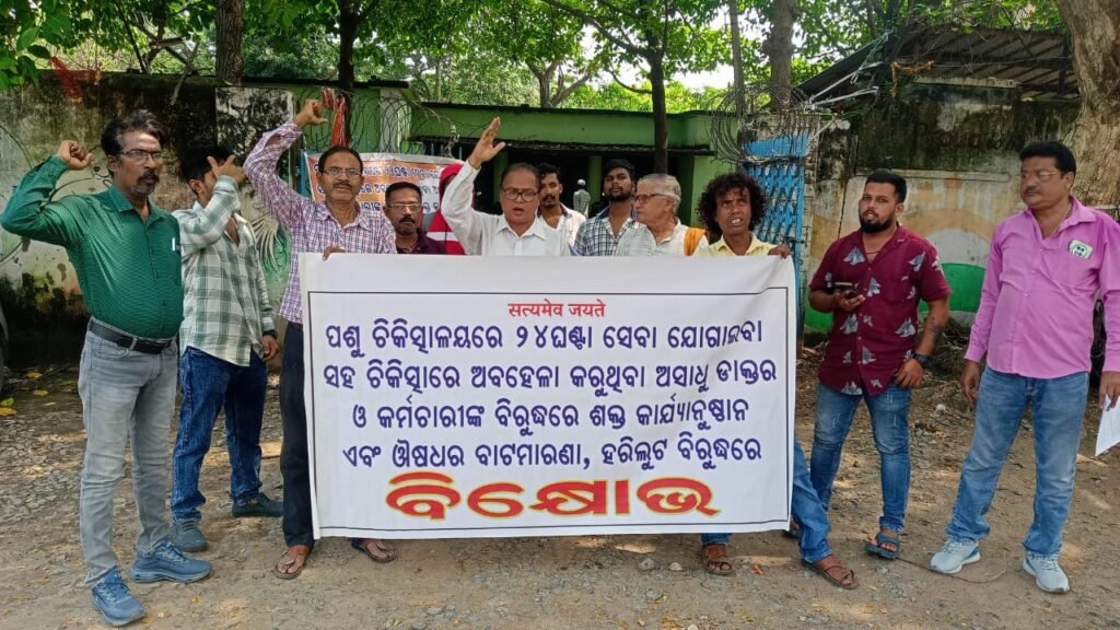 WhatsApp Image 2025-10-17 at 12.30.51 PM