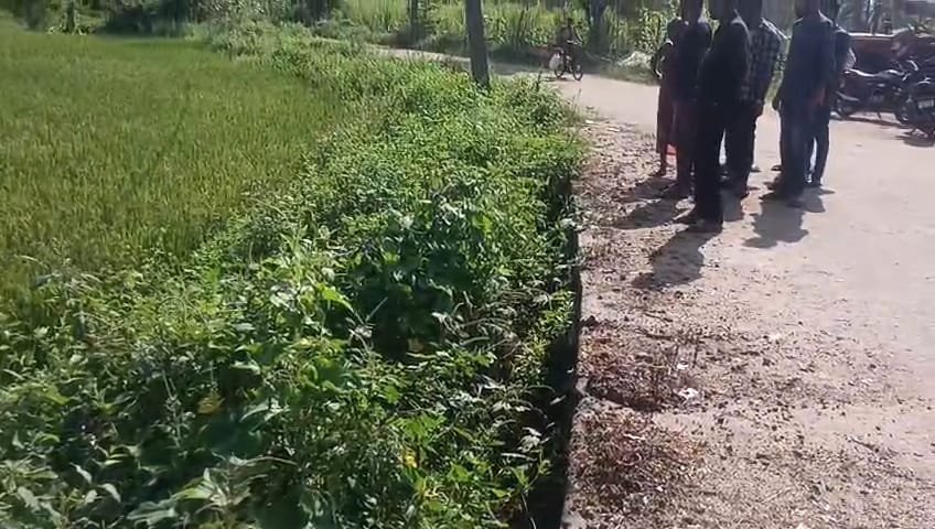 WhatsApp Image 2025-10-26 at 1.05.50 PM