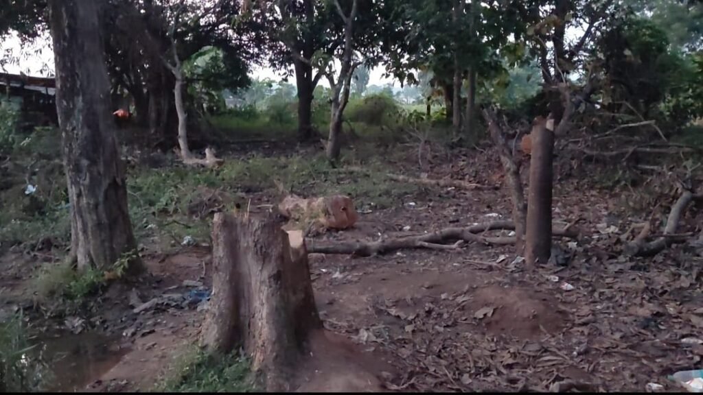 WhatsApp Image 2025-10-26 at 11.25.56 AM