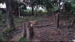 WhatsApp Image 2025-10-26 at 11.25.56 AM