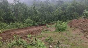 WhatsApp Image 2025-10-27 at 2.10.00 PM