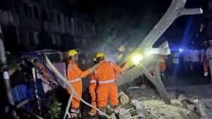 WhatsApp Image 2025-10-29 at 11.21.08 AM (1)