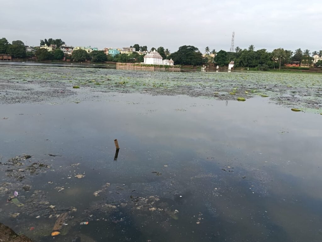 WhatsApp Image 2025-10-31 at 10.11.15 AM