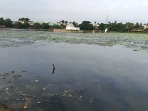 WhatsApp Image 2025-10-31 at 10.11.15 AM