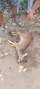 WhatsApp Image 2025-11-02 at 4.19.14 AM (1)