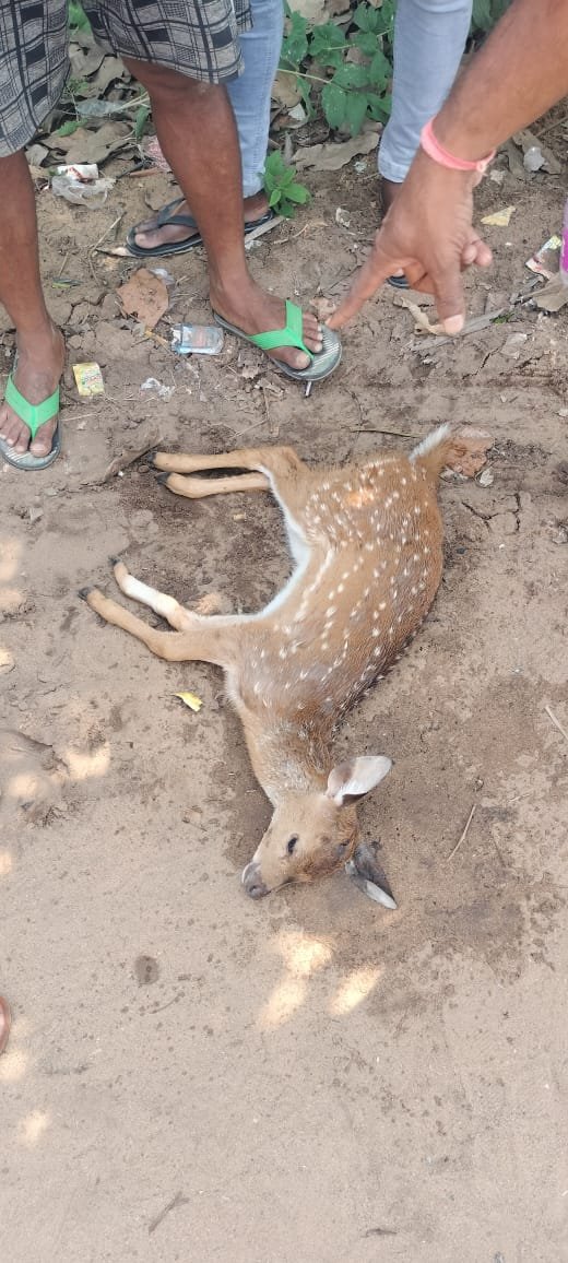 WhatsApp Image 2025-11-02 at 4.19.14 AM (1)