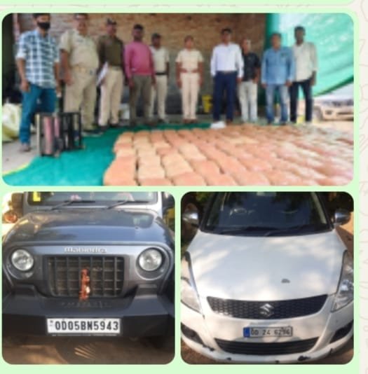 WhatsApp Image 2025-11-12 at 2.11.34 PM