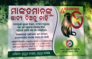 WhatsApp Image 2025-11-12 at 3.10.37 PM