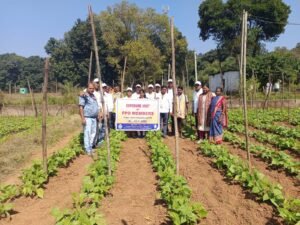 WhatsApp Image 2025-11-15 at 5.18.49 PM