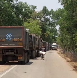 WhatsApp Image 2025-11-22 at 8.30.12 PM