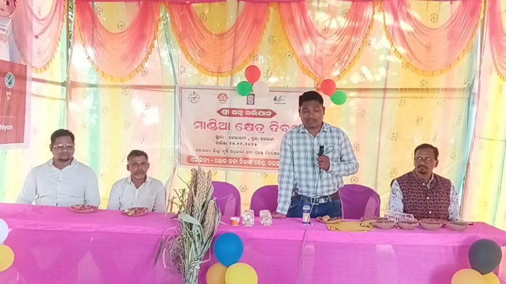 WhatsApp Image 2025-11-25 at 5.12.39 PM